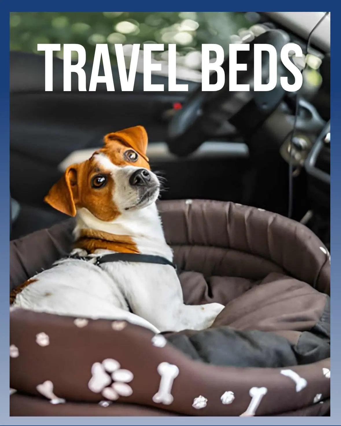 Dog Travel Beds
