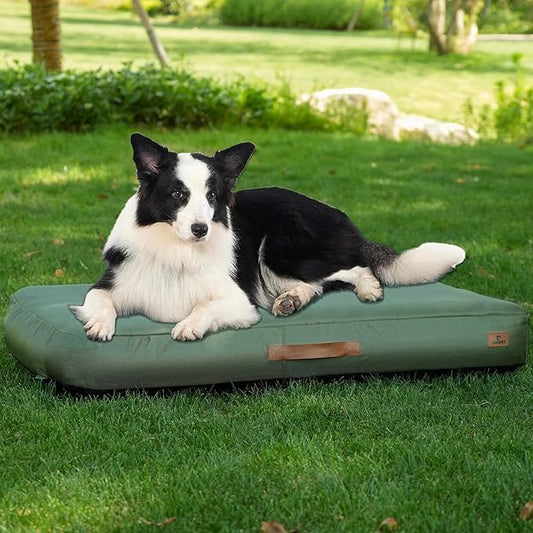 Waterproof inflatable dog travel bed for camping and outdoor use